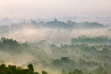 Borobudur, Endonezya 'nın başkenti Orta Cava' da yer alan bir 9. yüzyıl Mahayana Budist tapınağıdır. Anıt, merkezi bir kubbenin tepesinde altı kare ve üç dairesel olmak üzere dokuz adet üst üste yığılmış platformdan oluşuyor.