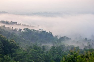 Borobudur, Endonezya 'nın başkenti Orta Cava' da yer alan bir 9. yüzyıl Mahayana Budist tapınağıdır. Anıt, merkezi bir kubbenin tepesinde altı kare ve üç dairesel olmak üzere dokuz adet üst üste yığılmış platformdan oluşuyor.
