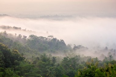 Borobudur, Endonezya 'nın başkenti Orta Cava' da yer alan bir 9. yüzyıl Mahayana Budist tapınağıdır. Anıt, merkezi bir kubbenin tepesinde altı kare ve üç dairesel olmak üzere dokuz adet üst üste yığılmış platformdan oluşuyor.