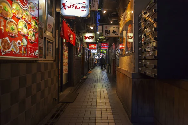 Sapporo Capitale Della Montuosa Isola Giapponese Settentrionale Hokkaido Famosa Sua — Foto Stock