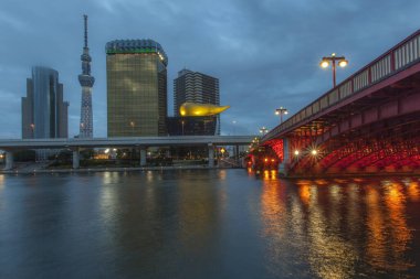 Tokyo Japonya 'nın başkenti ve dünyanın en kalabalık metropolüdür..