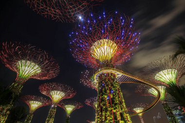 Körfezin yanındaki Gardens, Singapur 'un merkez bölgesinde Marina Reservoir' a komşu 101 hektarlık bir doğa parkıdır. Park üç rıhtım bahçesinden oluşuyor.