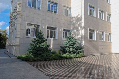 Modern building exterior with landscaping and tiled pavement.Modern building with a beige tiled facade and multiple white-framed windows. 