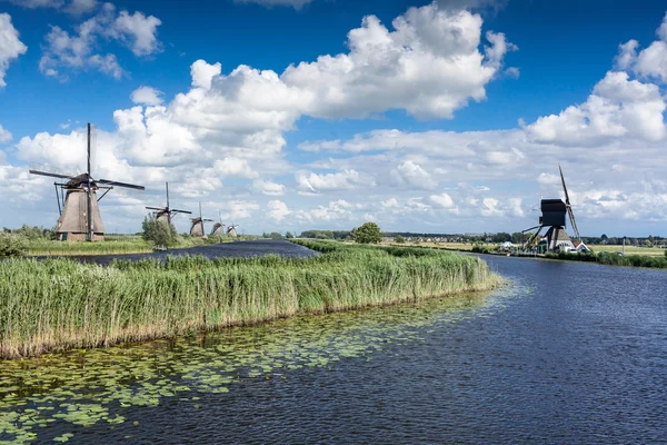 Tradycyjnych wiatraków w Holandii — Zdjęcie stockowe