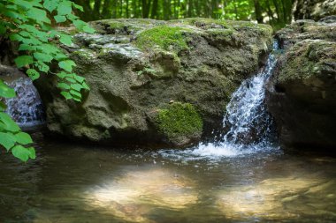 ormandaki küçük şelale