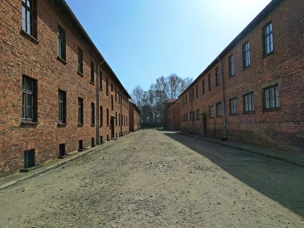 Auschwitz ı - Birkenau blokları