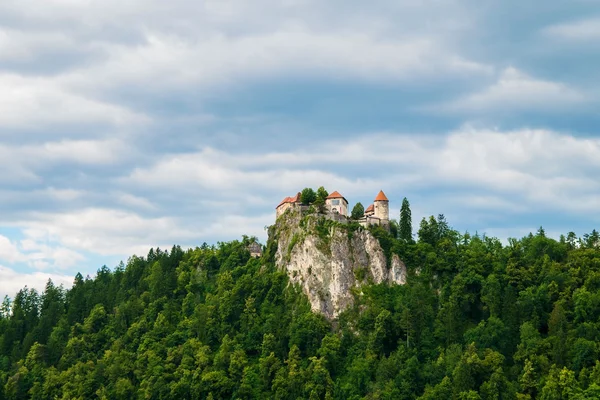 Castelo de sangue na colina na Eslovénia — Fotografia de Stock