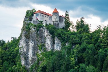 Bled castle Hill Slovenya