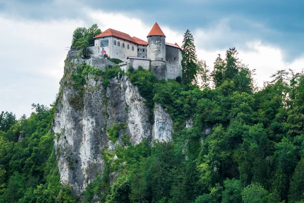 Castelo de sangue na colina na Eslovénia — Fotografia de Stock