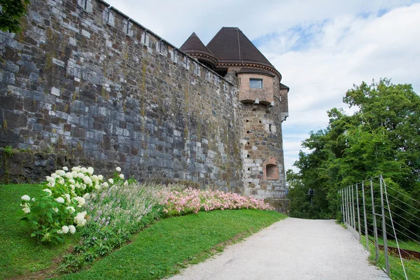 Voltar do Castelo de Liubliana com torre na Eslovénia — Fotografia de Stock