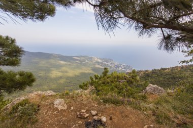 dağın tepesinde bir takas