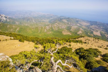 Dağın tepesinden manzara.