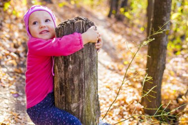 Sonbahar ormanında yürü