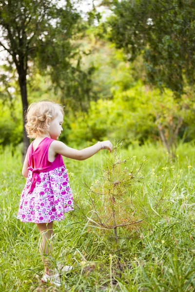 Девушка рядом с маленьким деревом — стоковое фото