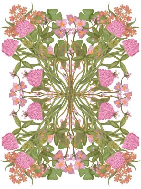 Çizim elle çizilmiş. Pembe yonca çiçeklerinin suluboya bileşimi ve beyaz arkaplanda yeşil yapraklar