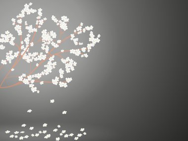 Düşen çiçekli çiçekli kiraz ağacının dalları parlayan