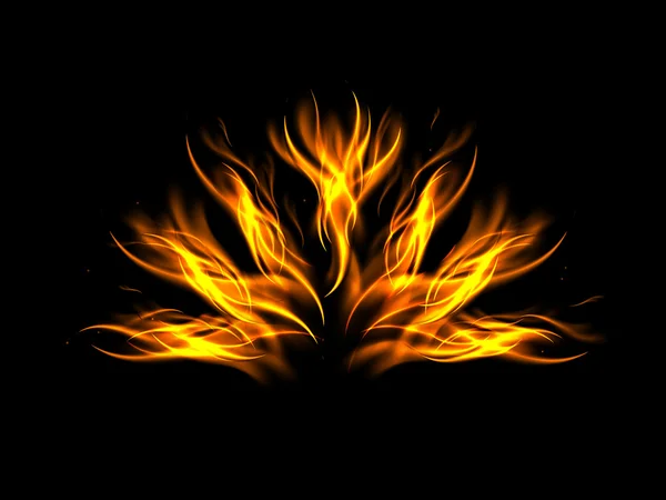 A fan of flames on a black background — Stock Vector