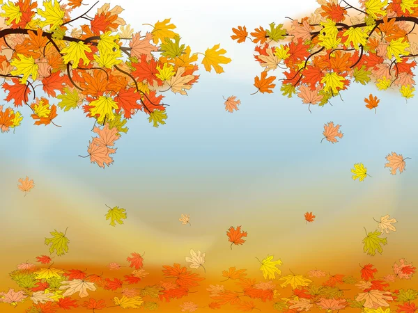 Herbst Hintergrund mit bunten Ahornblättern — Stockvektor