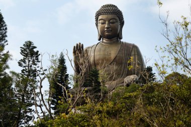 Tian Tan Buddha 'nın (Büyük Buda), bulutlu bir gökyüzüne karşı ağaç dalları tarafından çerçevelenmiş Ngong Ping, Lantau Adası' ndaki bronz heykeli.