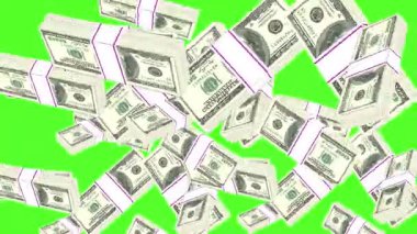 Yüzen Yeşil Ekran Amerikan Doları Paketleri