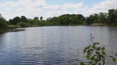 Mavi gökyüzüne ve yeşil ormana karşı büyük mavi bir göl. Kendi bitki örtüsü ve faunası olan derin bir gölet. Rüzgar, su yüzeyinde küçük dalgalar oluşturarak oynar. Harika doğal, pitoresk bir zemin..