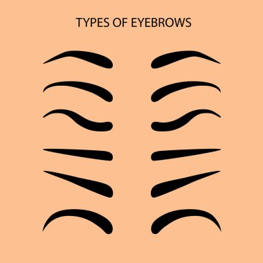 Kaşları düz vektör çizim ayarla