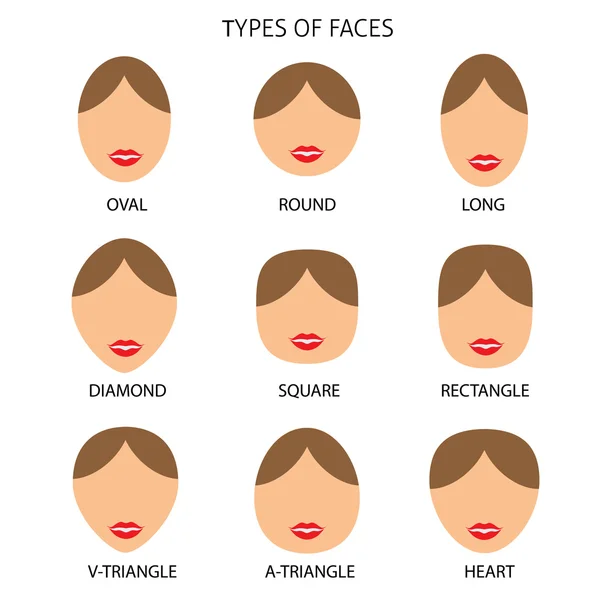女性の顔型 — ストックベクタ