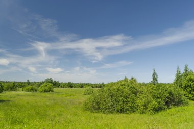 güneşli bir yaz günü