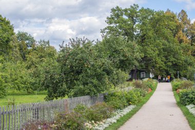 sonbahar günü şehrin dışında