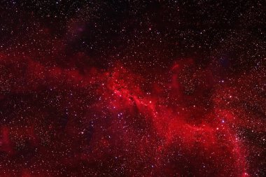 Kızıl uzay nebulası. Bu görüntünün elementleri NASA tarafından döşendi. Yüksek kalite fotoğraf