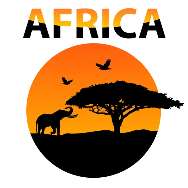 Vektör Afrika yaşam — Stok Vektör
