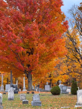 Saint Albans, Vermont, New England, ABD 'deki Sonbahar Mezarlığı