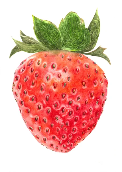 Strawberry, watercolor, jpg — стоковое фото
