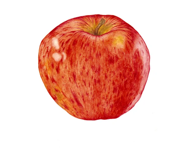 Apple, akwarela, jpg — Zdjęcie stockowe