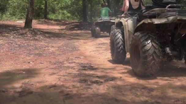 Montar en ATV en el bosque — Vídeo de stock