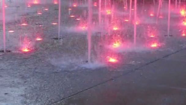 Tančící fontáně s světle růžová — Stock video