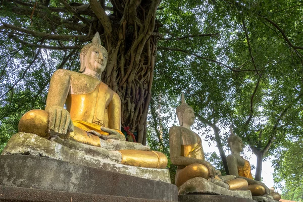 Nouveaux 3 études de Bouddha à côté de la haute montagne — Photo