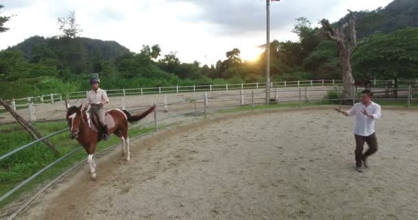 馬に乗っている女の子 — ストック動画