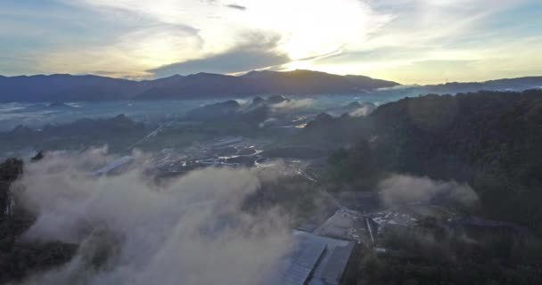Luftaufnahme des alten Steinbruchs am Morgen — Stockvideo