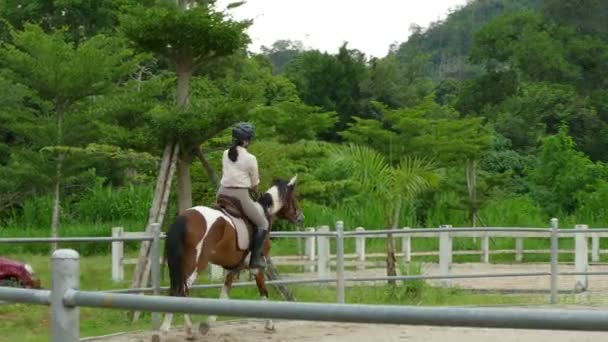 Mujeres montando un caballo — Vídeo de stock