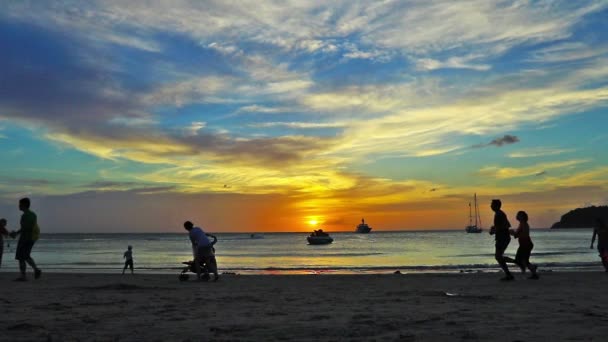 Activity on the beach — Stock Video