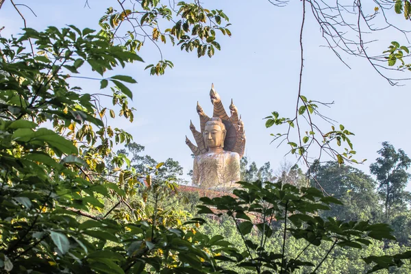 Naga Merkez over ile Big Buddha — Stok fotoğraf