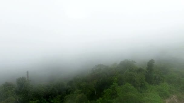 Photographie aérienne au-dessus du brouillard marin — Video