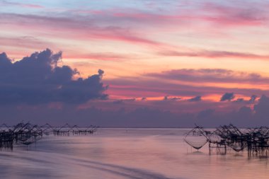 büyük lagün vahşi lotus