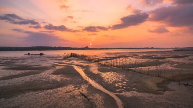 uzun balık ağı sahilde yakalamak her deniz yaşam pass içinde