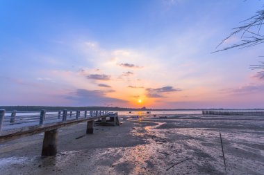 Gergedan adanın iskele