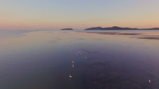 Fotografia aérea no parque Sapan Hin há muitas coisas interessantes para ver a casa de luz ao lado canal de pesca pássaros vida ao redor do parque — Vídeo de Stock