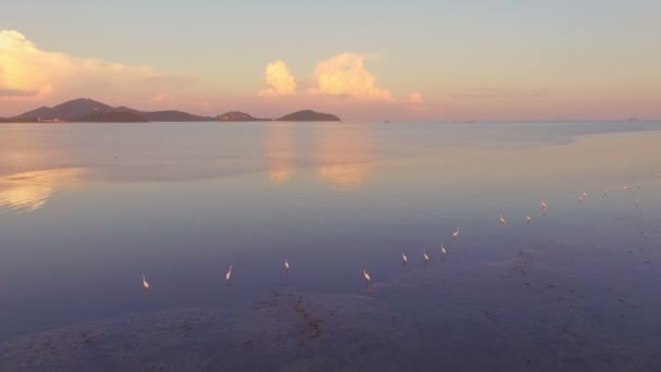 Fotografia aérea no parque Sapan Hin há muitas coisas interessantes para ver a casa de luz ao lado canal de pesca pássaros vida ao redor do parque — Vídeo de Stock