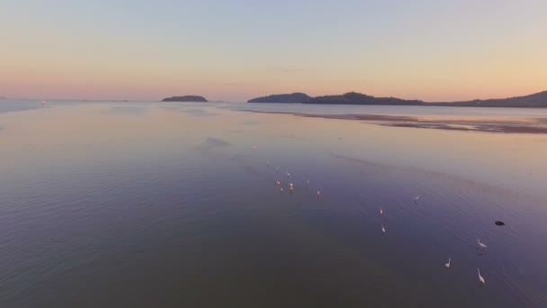 Аерофотозйомка в Sapan Хін park там є багато цікавих речей, щоб побачити світло домівці канал риболовля птахів життя навколо парку — стокове відео