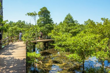 Krabi il Tayland güneyinde zümrüt Havuzu
